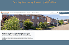 Afbeelding 1 van Werkzaamheden website en Mijn WST